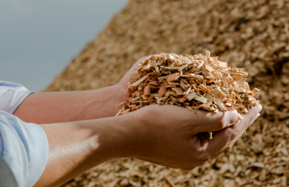 Recycle・Biomass